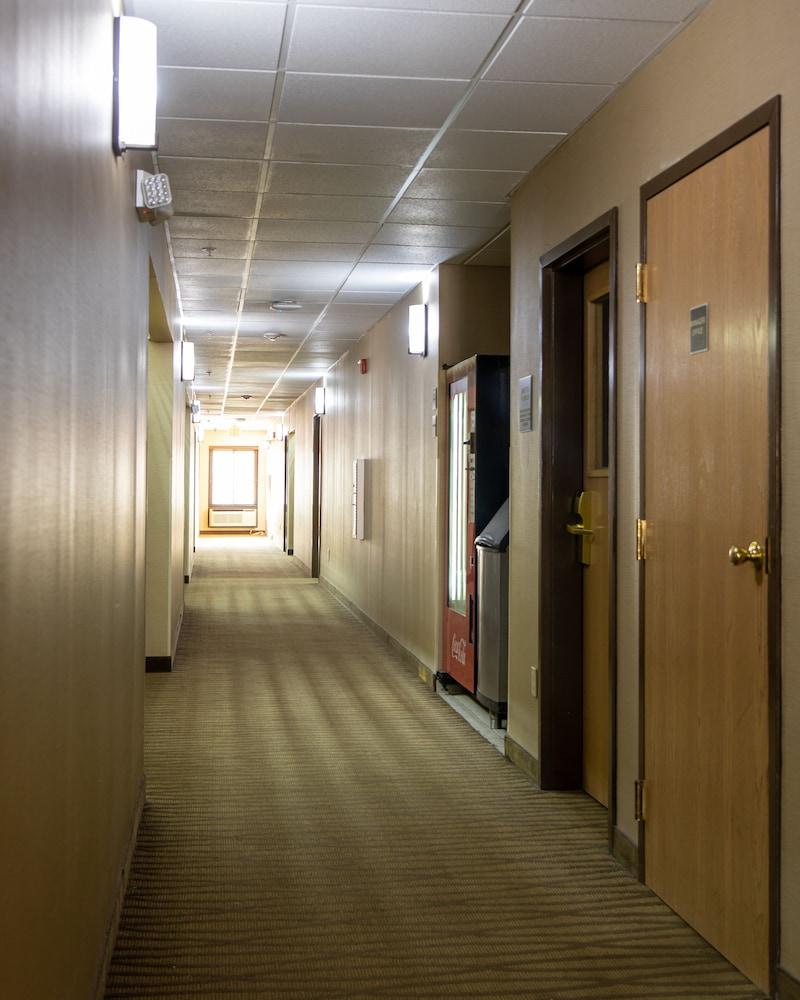 Red Roof Inn Newport News - Yorktown Eksteriør billede